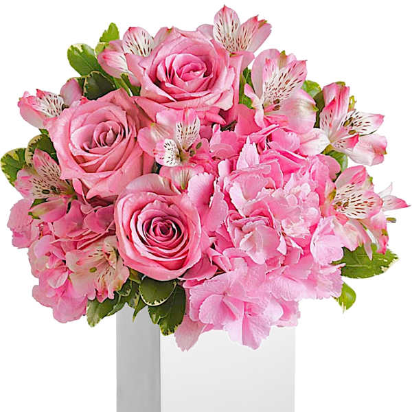 Pink roses and hydrangeas in a white square vase