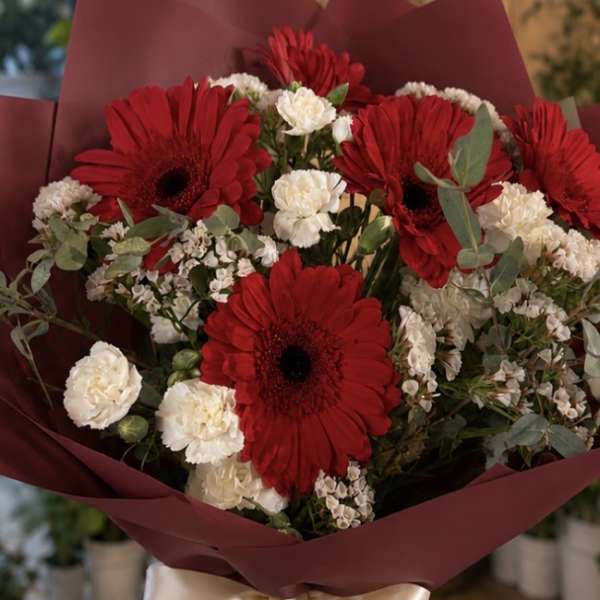 Bouquet of red gerbera daisies and white carnations wrapped in burgundy paper