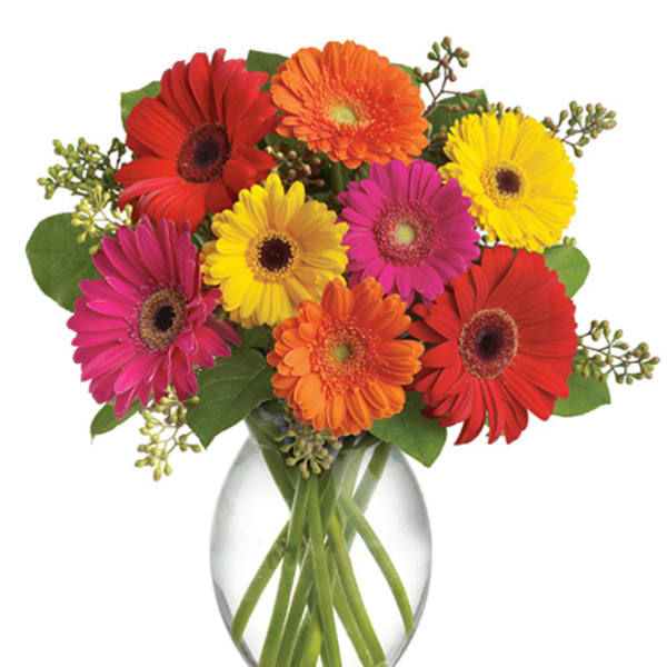 Colorful gerbera daisy bouquet in a clear glass vase