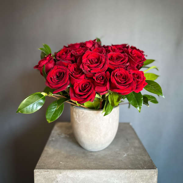 Red roses arranged in a white vase