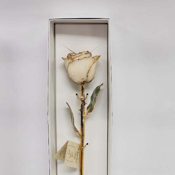 Preserved Ivory 24KT Gold Rose