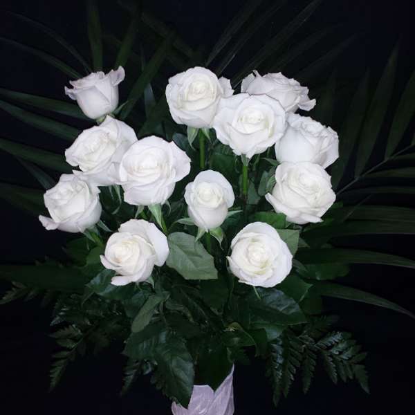 Dozen Understated White Roses