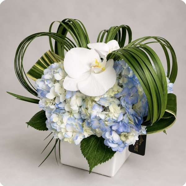 White orchid and blue hydrangea arrangement in a white square vase