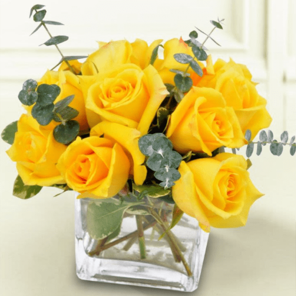 Summer Sun