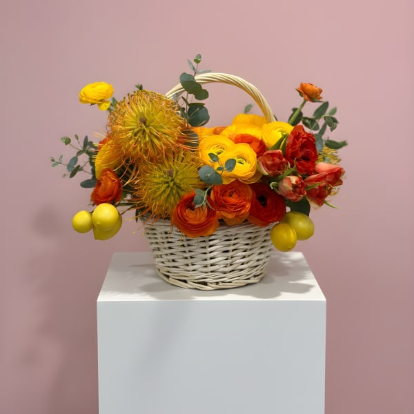 Valencia Basket