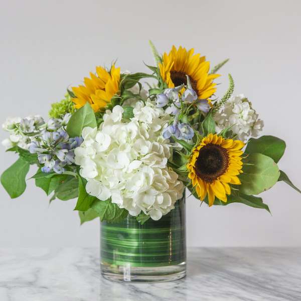 Sunflowers and white hydrangeas in a glass vase