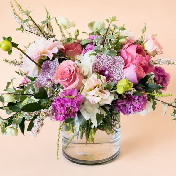 Coral Splash
