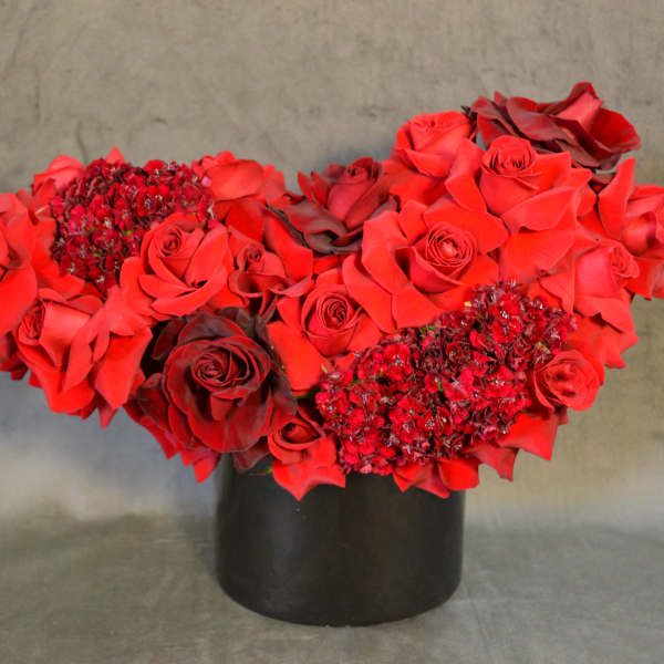 My Red Princess