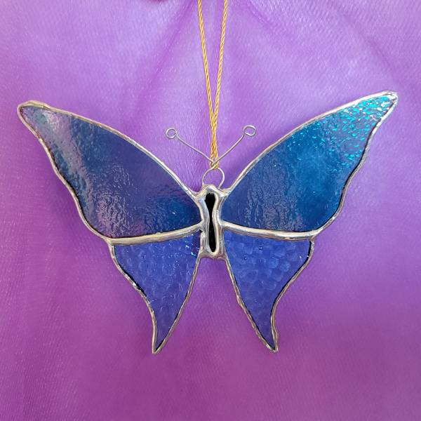 Blue Butterfly