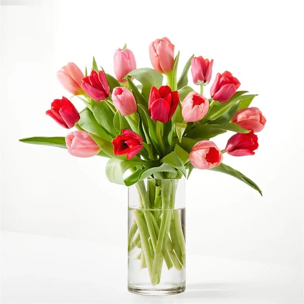Bouquet of pink and red tulips in a clear glass vase