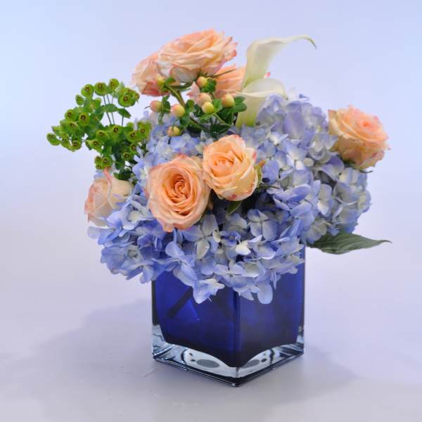 Peach roses and blue hydrangeas in a square glass vase