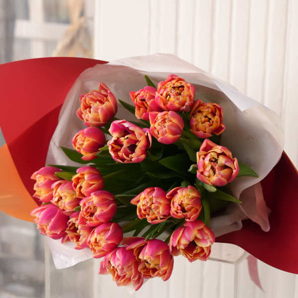 Bouquet of pink and orange tulips wrapped in white and red paper