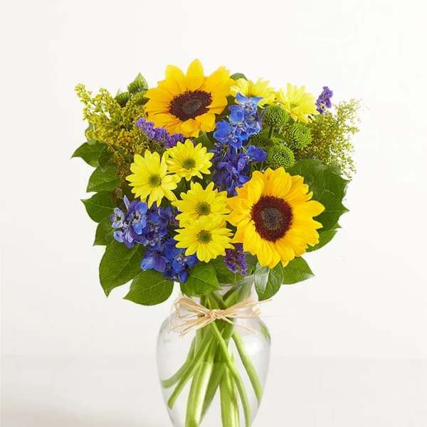 Fields Of Europe
