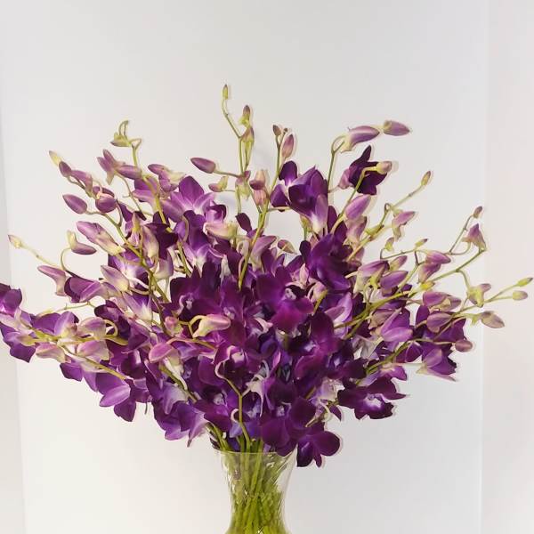 Purple orchids arranged in a clear glass vase