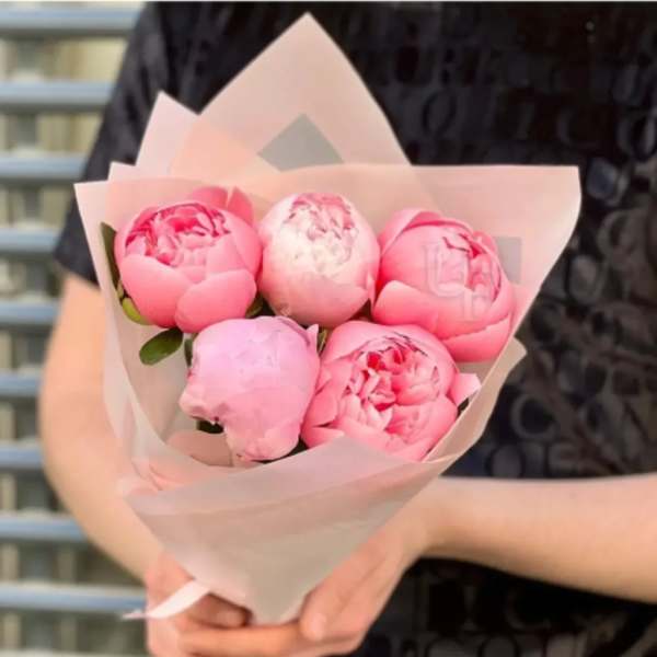 Bouquet of pink peonies wrapped in pale pink paper
