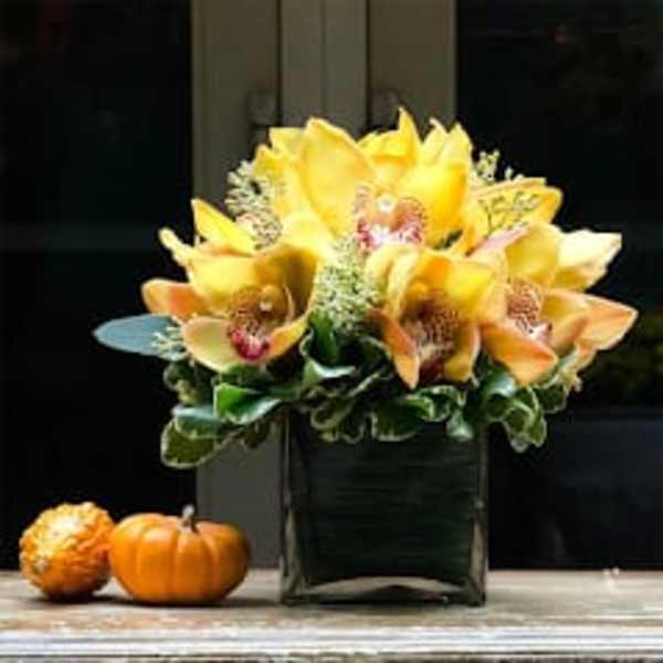 Yellow orchid arrangement in a square glass vase with small pumpkins