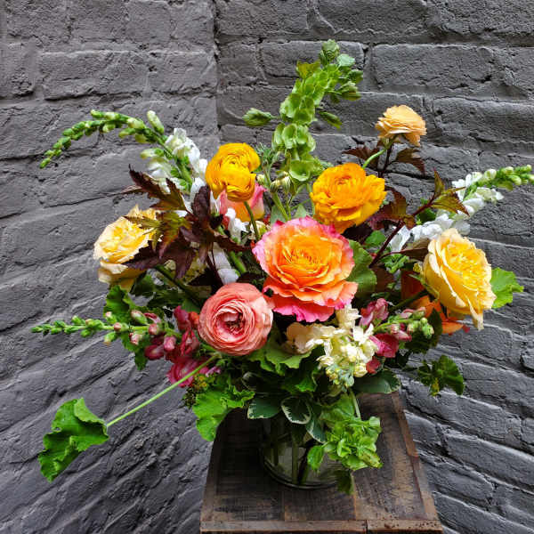 Summer Dreaming
