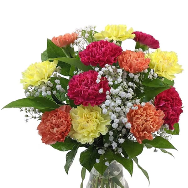 Mixed carnations in a glass vase with baby's breath