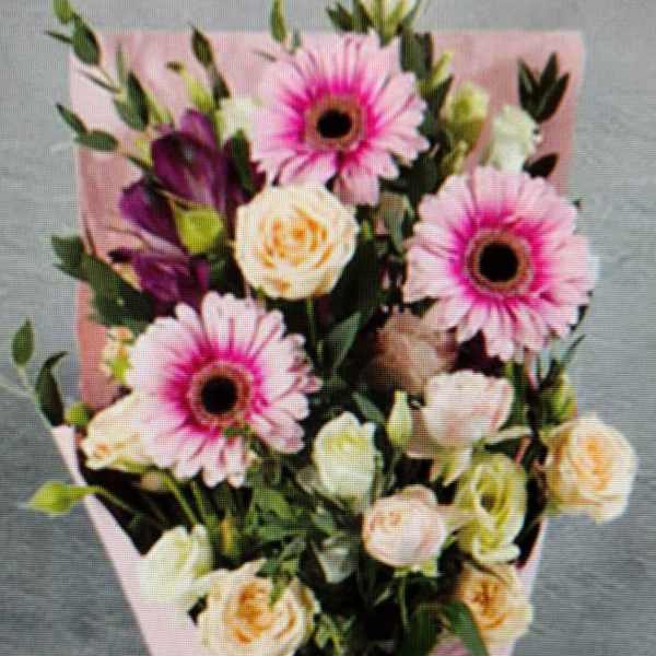 Pink gerbera daisies and cream roses in pink wrap with ribbon