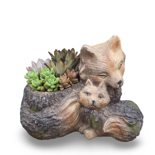Sleeping Fox Succulent Planter