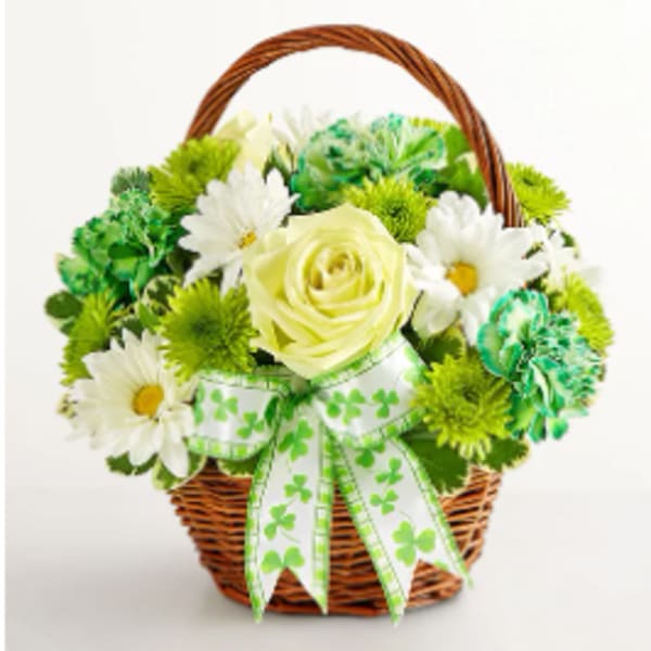 Basket of white daisies and a pale yellow rose with a shamrock ribbon