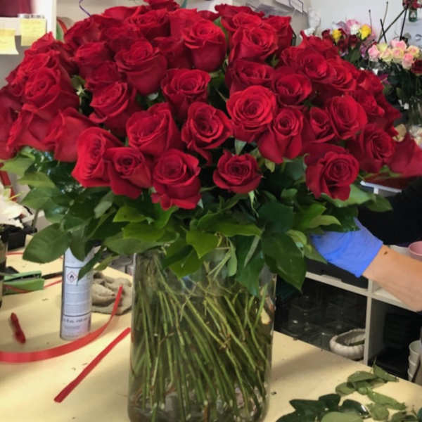 100 roses