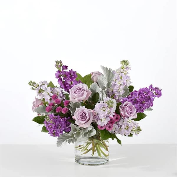 Lilac Dreams