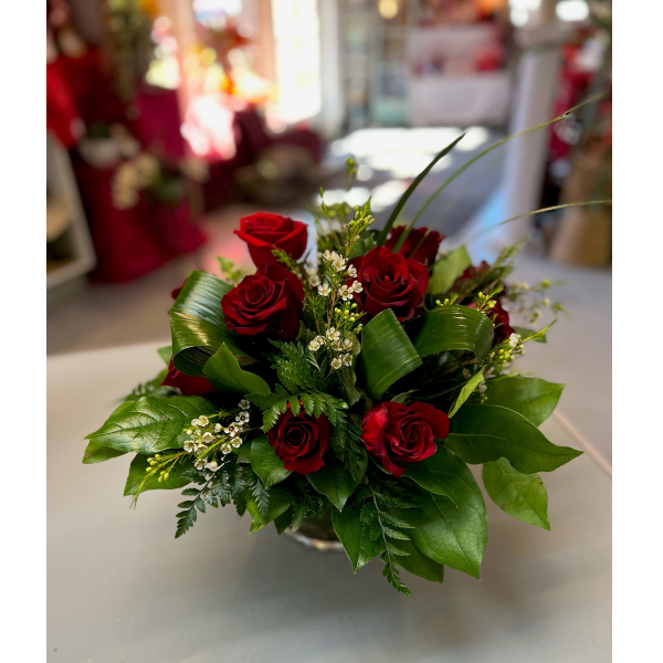 Modern rose