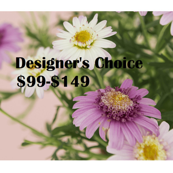 Designer's Choice $99-149