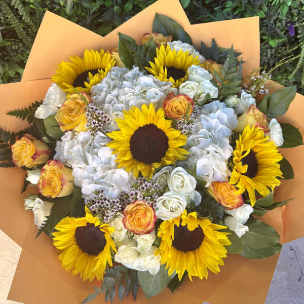 Brightness