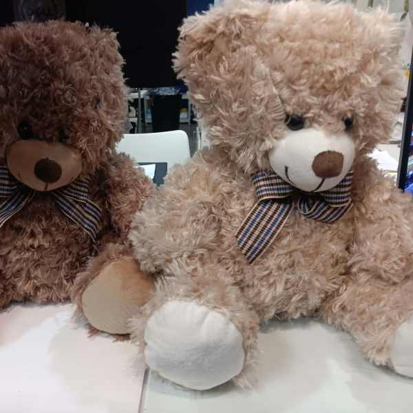 Two plush teddy bears with plaid bows sitting side by side
