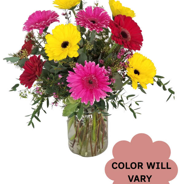 Mixed gerbera daisies in a glass vase with a color-will-vary note