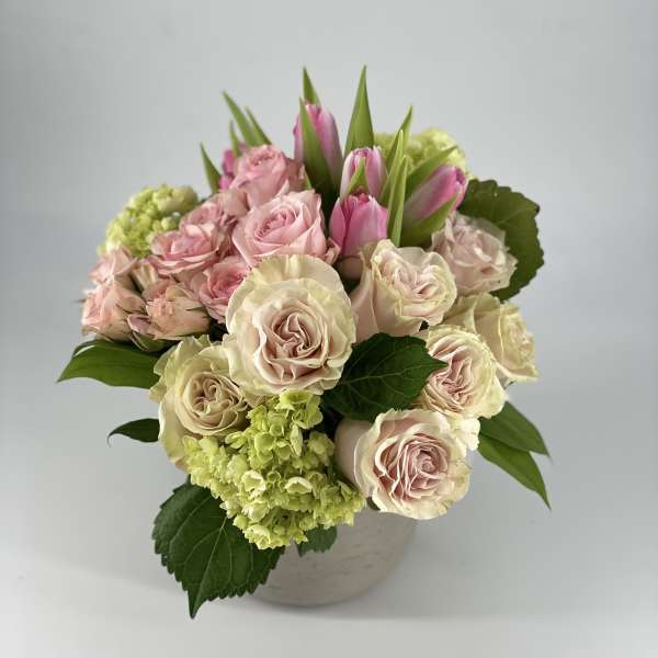 Gathered Rosè