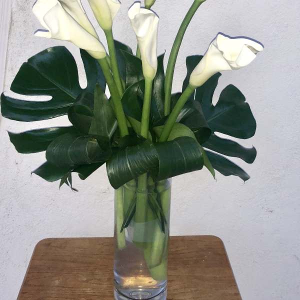 White calla lilies in a clear glass vase with large dark green leaves