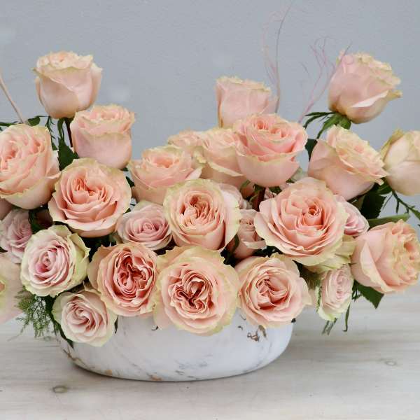 Low arrangement of pale peach roses in an oval white bowl