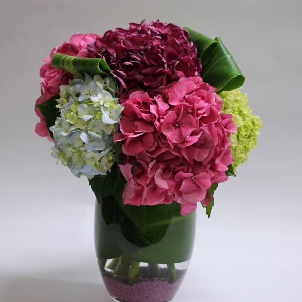 Pink and blue hydrangeas arranged in a glass vase