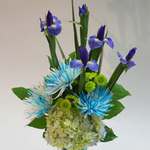 Blue iris and chrysanthemum arrangement in a glass vase