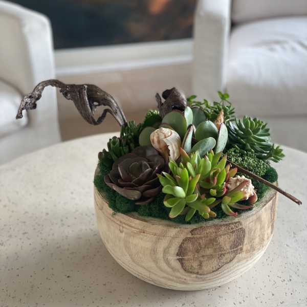 Succulent arrangement in a round wooden bowl with seashell accents