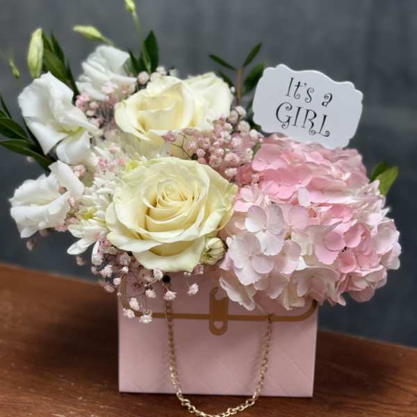 Welcome Baby Girl Bundle