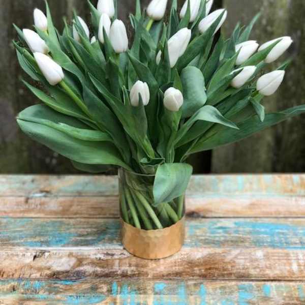 White tulips arranged in a clear glass vase with a gold wrap