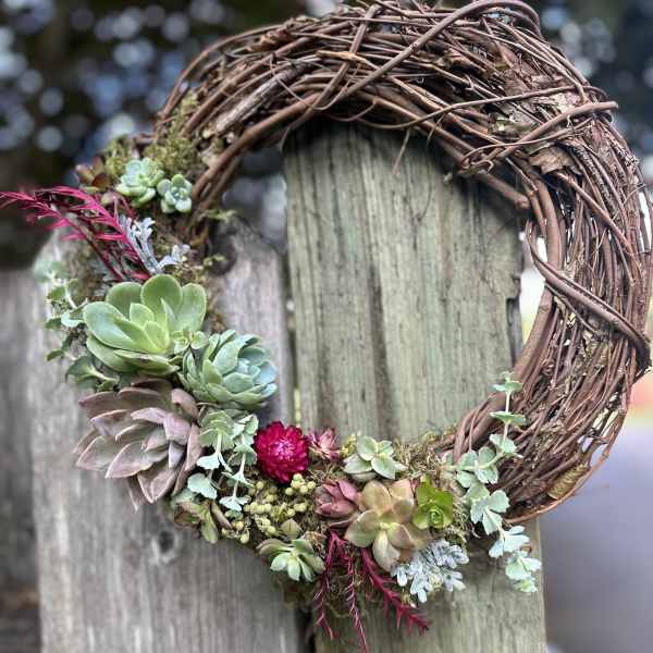Succulent grapevine wreath