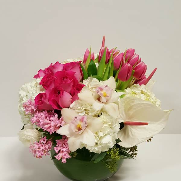 Smiles and Sunshine