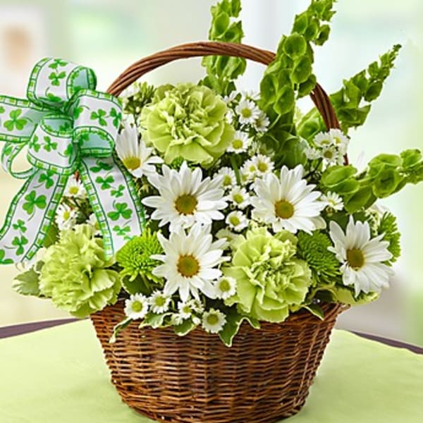 Green and white flower basket with daisies and a shamrock ribbon