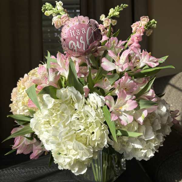 It's a Girl!