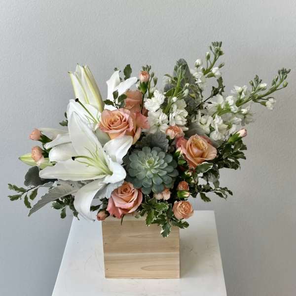 Desert Sunrise