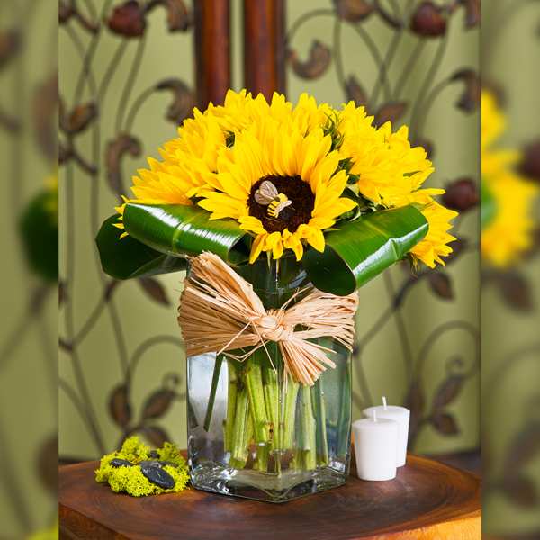 Sunflower arrangement in a glass vase with a raffia bow