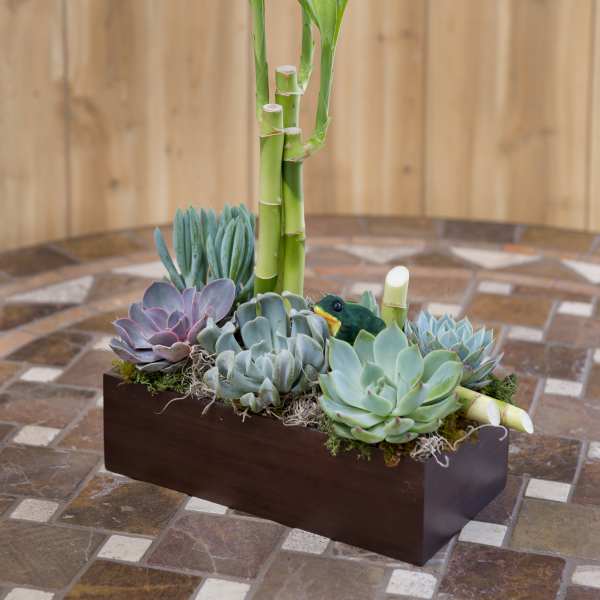 Succulent arrangement with bamboo stalks in a rectangular wooden planter