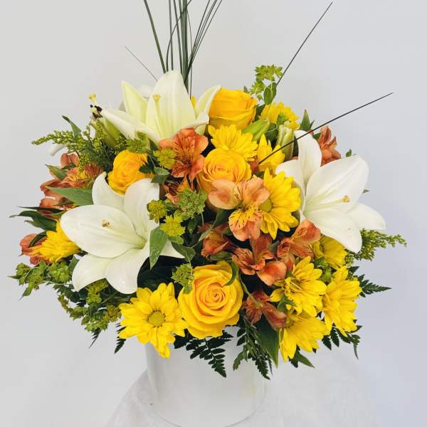 Sunshine Blaze.