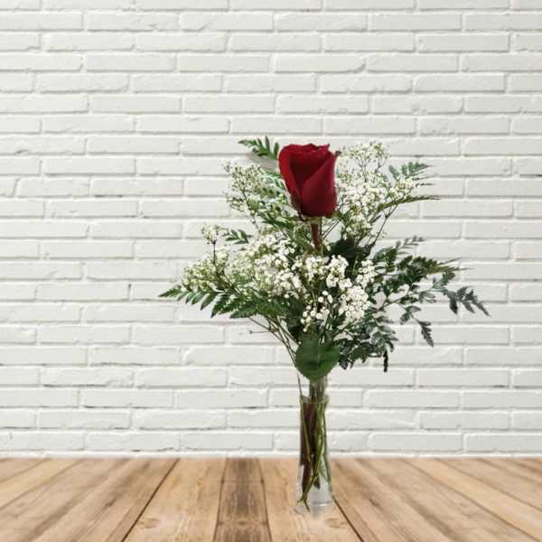 Single red rose in a clear vase with white filler flowers