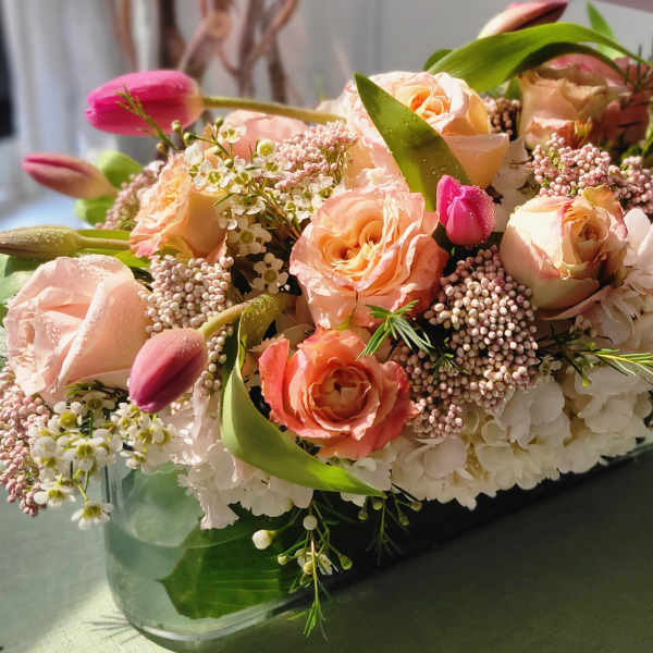 Bless Our Nest